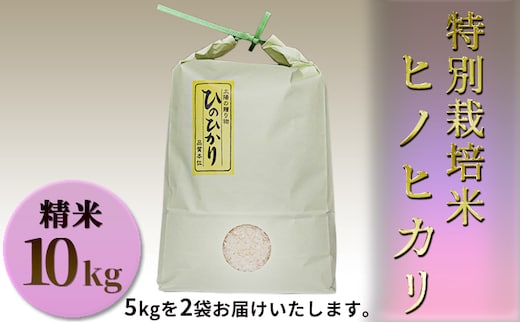 特別栽培米 ヒノヒカリ 精米10kg（5kg×2袋） お米 