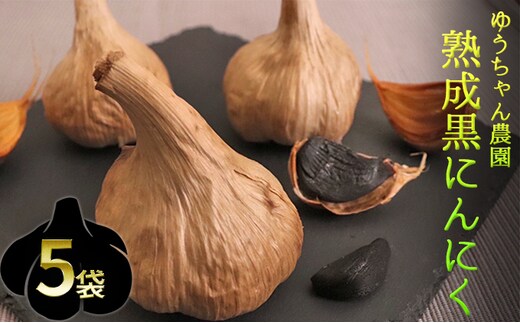 ゆうちゃん農園熟成黒にんにく M玉3個入×5袋［ 無化学肥料 無添加 有機栽培 安全 安心 国産ニンニク ］ 野菜 加工食品 美容 