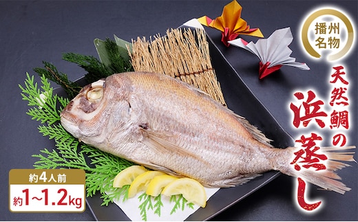 播州名物 天然鯛の浜蒸し 約1kg～1.2kg 【約4人前】/ 祝い鯛 お食い初め 長寿祝い 魚貝類 タイ マダイ 真鯛 