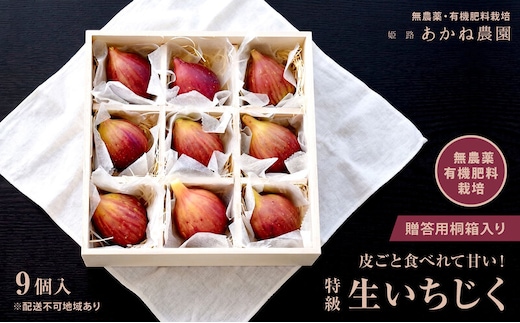 【栽培期間中 無農薬・有機肥料栽培】皮ごと食べれて甘い！あかね農園「 特級 生いちじく」9 個 桐箱入り