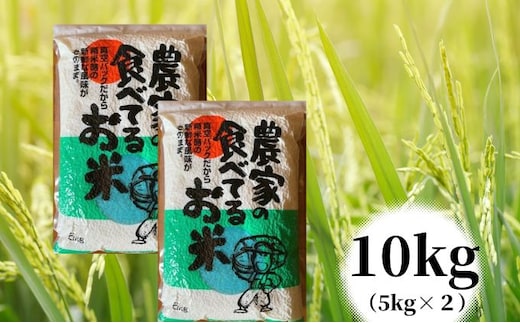 【令和7年度産】農家の食べてるお米 10kg（5kg×2個）真空パック ライス ご飯 主食 ストック 日持ち 備蓄品 保存食 兵庫県産 姫路市産 産地直送 