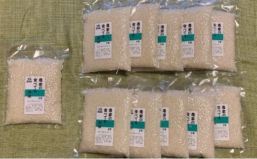 2合パック 10＋1袋「最高に贅沢なお米」2合×計11袋 真空パック ライス ご飯 主食 ストック 日持ち 備蓄品 保存食 兵庫県産 姫路市産 産地直送 食べきりサイズ 小分け 