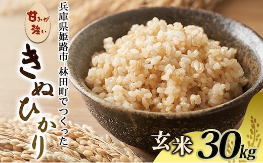 [令和7年産新米]<10月初旬以降発送予定>きぬひかり玄米30キロ 兵庫県姫路市産 新米 白米 米 お米 精米 ご飯 甘みが強い ツヤ キヌヒカリ もっちりとした食感 単一原料米 おいしいお米 