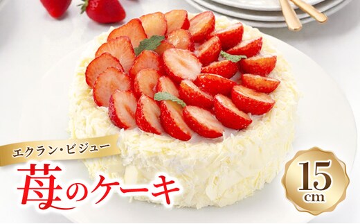 エクラン・ビジュー「苺のケーキ」 お菓子 タルト 宝石箱 フルーツ 新鮮 美味しい カスタードクリーム 手作業 安心 しっとり 