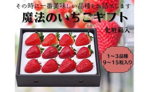 【12月上旬から順次出荷】魔法のいちごギフト化粧箱入り 果物 フルーツ デザート かおり野 かんな姫 おいCベリー よつぼし 紅ほっぺ ほしうらら スターナイト