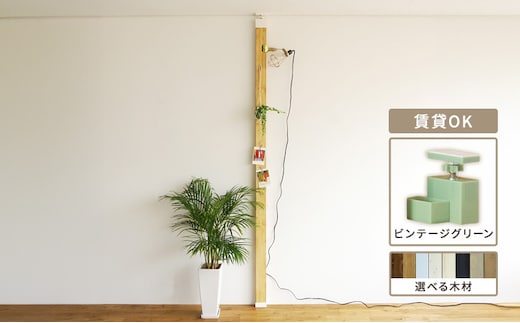 インテリア LABRICO 柱 セット アジャスター ヴィンテージグリーン 平安伸銅工業 ツーバイ材 ツーバイフォー 家具 DIY 突っ張り 突っ張り柱 固定 賃貸 ウッド 木 木材 おしゃれ オシャレ 平安伸銅 ラブリコ 兵庫 兵庫県 姫路 姫路市スノーホワイト