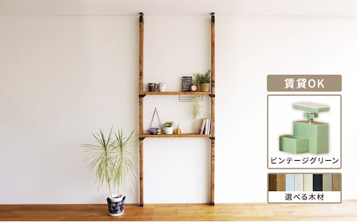 インテリア LABRICO 棚 セット M アジャスター ヴィンテージグリーン 平安伸銅工業 ツーバイ材 ツーバイフォー 棚板 棚受け 壁 壁面 壁面収納 家具 収納 DIY 突っ張り つっぱり棚 固定 賃貸 木 木材 平安伸銅 ラブリコ 兵庫 兵庫県 姫路 姫路市スノーホワイト