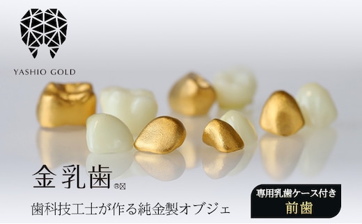 金乳歯（前歯）抜けた乳歯から歯科技工士が作る純金製オブジェ 専用乳歯ケース付き 子 孫へのプレゼント ギフト 出産祝い 乳歯ケース 歯科 予防歯科 ジュエリー 純金 木箱 ウォールナット
