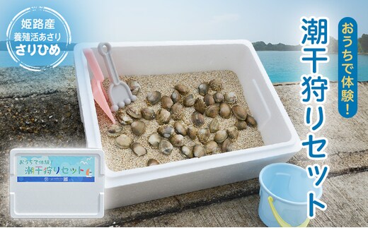 【さりひめ】姫路産 完全国産養殖活あさり おうちで体験！潮干狩りセット 料理レシピ付き 国産 あさり アサリ 養殖 兵庫県