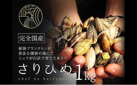 【さりひめ】姫路産養殖活あさり 1kg | 魚介 魚介類 貝類 海鮮 食べごたえ 味噌汁 酒蒸し パスタ 焼き牡蠣 海の幸