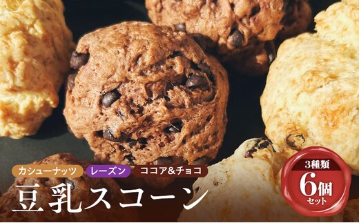 スコーン 詰め合わせ 6個セット 3種類 カシューナッツ レーズン ココア＆チョコ 手作り 焼き菓子