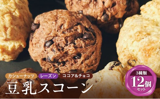 スコーン 詰め合わせ 12個セット 3種類 カシューナッツ レーズン ココア＆チョコ 手作り 焼き菓子