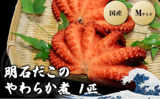 明石だこのやわらか煮 Mサイズ 魚貝類 タコ 加工食品 