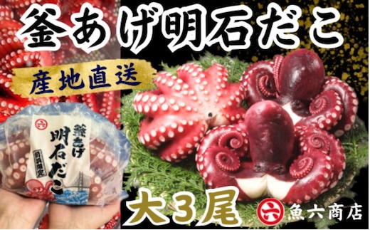 ほんまにうまい 釜あげ明石だこ 大 3尾 魚貝類 タコ 加工食品 