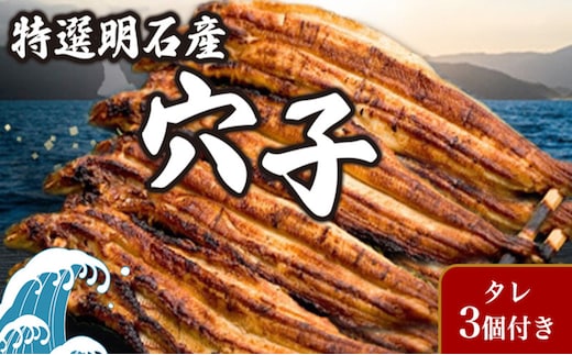 特選明石産炭焼き穴子（タレ3個付き） うなぎ 鰻 魚貝類 加工食品 