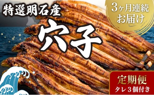 【3ヵ月連続お届け】特選明石産炭焼き穴子（タレ3個付き）[ 定期便 ] うなぎ 鰻 魚貝類 加工食品 