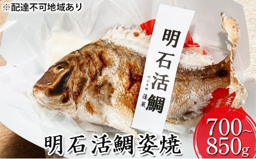 明石活鯛姿焼 700～850g[ 明石鯛 鯛 焼鯛 祝い鯛 お祝い ] 魚貝類 タイ 加工食品 厳選 贅沢 レンジ お鍋 アヒージョ 