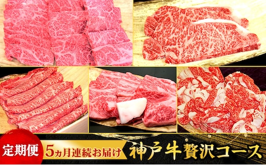 定期便 神戸牛 贅沢コース 5ヵ月連続お届け[ 肉 食べ比べ すき焼き ステーキ 焼肉 切落し 牛肉 ]