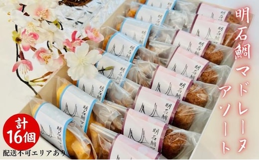 明石鯛 マドレーヌ アソート 計16個[ スイーツ 焼菓子 洋菓子 ] お菓子 焼き菓子 よつ葉バター使用 ふんわり しっとり 風味豊か 鯛モチーフ こだわり素材 お土産 手土産 ショコラ 詰め合わせ 