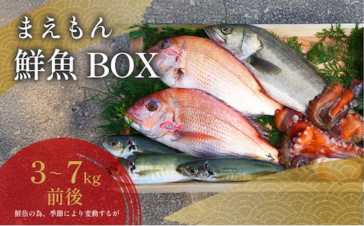 まえもん鮮魚BOX 魚介類 魚貝類 セット 詰め合わせ 