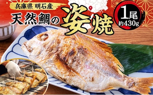 明石産 天然鯛の姿焼(2) 魚貝類 