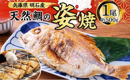 明石産 天然鯛の姿焼(3) 魚貝類 