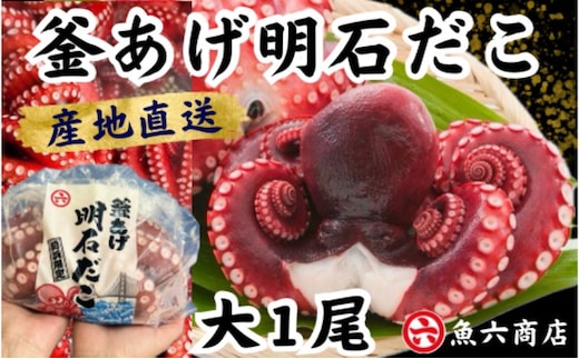 ほんまにうまい 釜あげ明石だこ 大 1尾 たこ 海鮮 