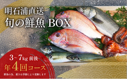 明石浦直送 旬の鮮魚BOX年4回コース 魚貝類 魚介類 