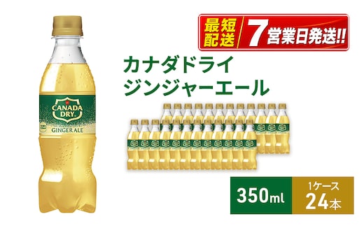 カナダドライ ジンジャーエール 350ml 1ケース 24本 ペットボトル