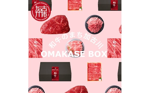OMAKASE BOX 肉のまち加古川 プリンセス和牛定期便(全4回)《 肉 定期便 牛肉 ステーキ しゃぶしゃぶ すき焼き用 焼肉 おすすめ 贈答 プレゼント 》【2407A11504】