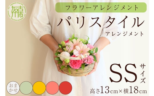 【フラワーアレンジメント】パリスタイルアレンジメント(SSサイズ)【5色カラバリ展開】【2401U03801】