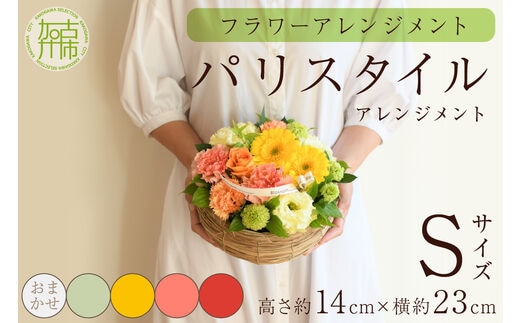 【フラワーアレンジメント】パリスタイルアレンジメント(Sサイズ)【5色カラバリ展開】【2402U03802】