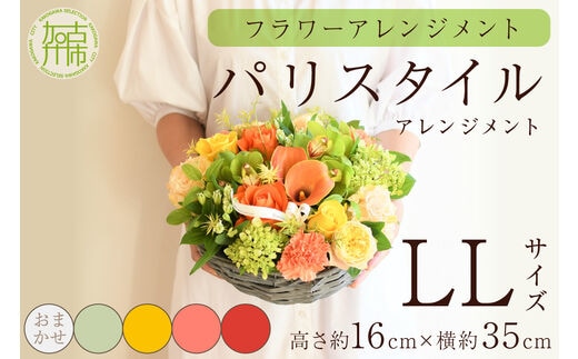 【フラワーアレンジメント】パリスタイルアレンジメント(LLサイズ)【5色カラバリ展開】【2404U03808】