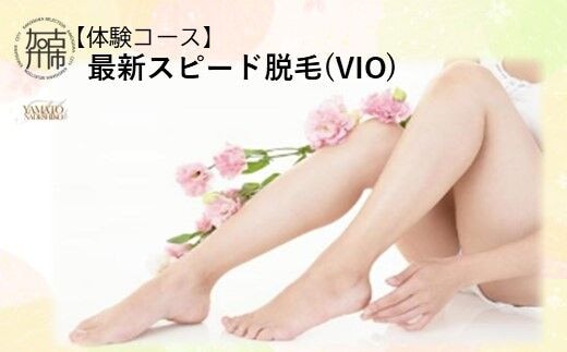 【体験コース】最新スピード脱毛(VIO)《 美容 脱毛 VIO 最新 スピード はやい 体験 女性 ご褒美 贅沢 息抜き 》【2500L11802】