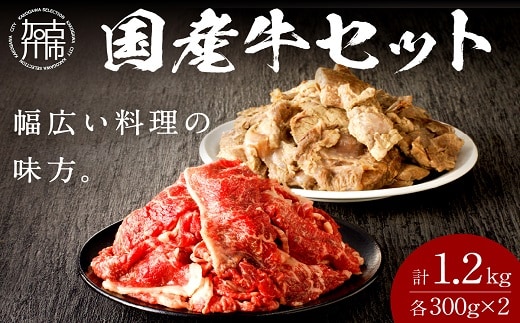 【国産牛】料理の味方セット(切り落とし・ボイルスジ肉)《 肉 牛肉 切り落とし肉 牛すじ 国産 セット 》【2301A09910】
