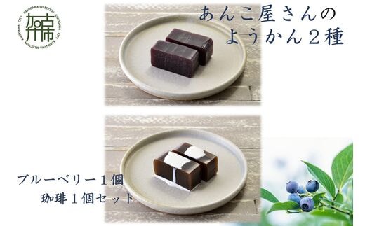 【老舗の味】あんこやさんの「ようかん2種」(ブルーベリー1個・珈琲1個セット)【2401H05921】