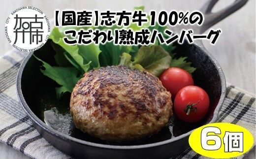 【国産】志方牛100%のこだわり熟成ハンバーグ150g×6個【2401I05941】
