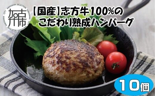 【国産】志方牛100%のこだわり熟成ハンバーグ150g×10個【2402I05943】