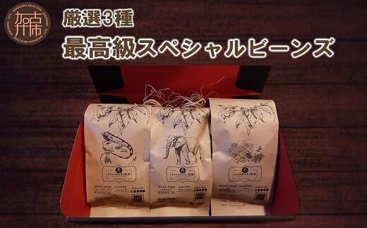 最高級スペシャルビーンズ 厳選3種《 焙煎豆 焙煎 コーヒー 珈琲 》【2402G11701】