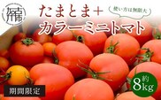 【限定出荷】"たまとま"＋カラーミニトマト(約8kg)《 野菜 トマト ミニトマト カラートマト 期間限定 送料無料 おすすめ 美味しい セット とまと ふるさと納税 》【2403C12102】