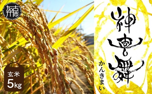 お米 【神喜舞】 玄米5kg [令和7年産]《 お米 玄米 5キロ 安心 安全 米 おこめ 国産 送料無料 ヒノヒカリ 》【2502B08403】