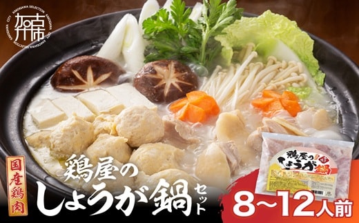 鶏しょうが鍋セット《 鍋 なべ 鍋セット 鶏肉 生姜 ショウガ 》【2401I16009】