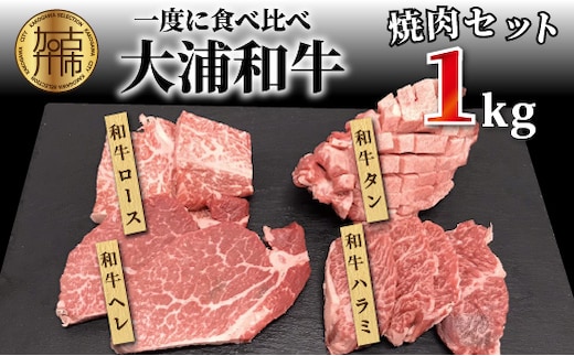 大浦和牛焼肉セット(1kg)《 牛肉 牛 国産 焼肉 セット おすすめ ロース 美味しい 牛タン ハラミ ヘレ フィレ ヒレ ヒレ肉 食べ比べ バーベキュー 》【2405A00206】