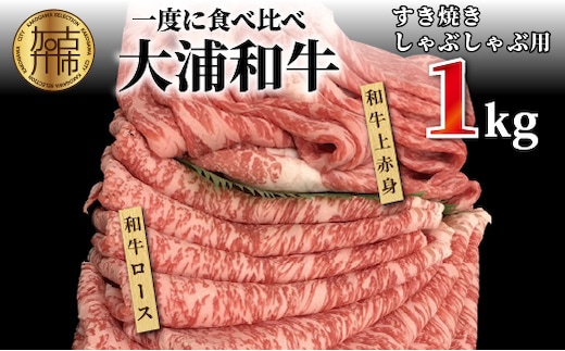 大浦和牛すきやき・しゃぶセット（1kg）【2405A00207】