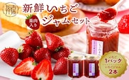 はたやの新鮮いちご＆果肉入りジャムのセット[12月下旬より順次発送]《 ふるさと納税いちご イチゴ 苺 フルーツ工房はたや 高級 フルーツ ジャム 送料無料 》【2401C09702】