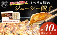 大西食品「イベリコ豚のジューシー餃子」《 ギョーザ 焼くだけ 簡単 イベリコ豚 ベジョータ 兵庫県 加古川市 》【2401I15301】