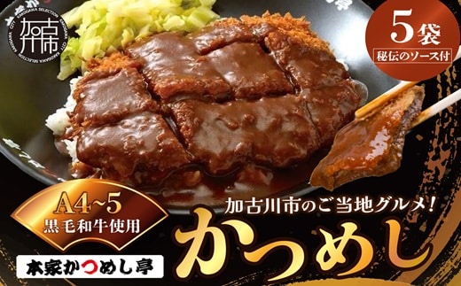 本家かつめし亭のかつめし(5食入り)《 かつめし 本家かつめし亭 デミグラスソース おいしい 洋食 おすすめ 》【2402I05601】