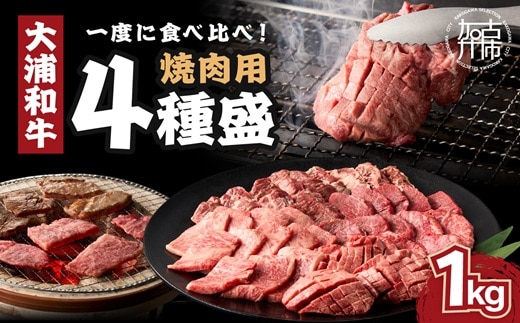 大浦和牛焼肉セット(1kg)《 牛肉 牛 国産 焼肉 セット おすすめ ロース 美味しい 牛タン ハラミ ヘレ フィレ ヒレ ヒレ肉 食べ比べ バーベキュー 》【2405A00206】