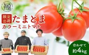 【限定出荷】"たまとま"＋カラーミニトマト(約4kg)《 野菜 トマト ミニトマト カラートマト 期間限定 送料無料 おすすめ 美味しい セット とまと ふるさと納税 》【2401C12101】