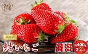 結いちご(2パック入)[12月下旬より順次発送] 《 いちご 大粒 苺 フルーツ 果物 フルーツ工房はたや ふるさと納税いちご イチゴ 高級 国産 送料無料 》【2402C09706】